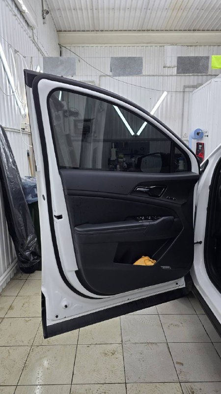 Дверь Kia Sportage с тонированным стеклом
